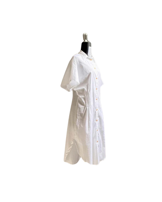 Camiciona Paris_ venature