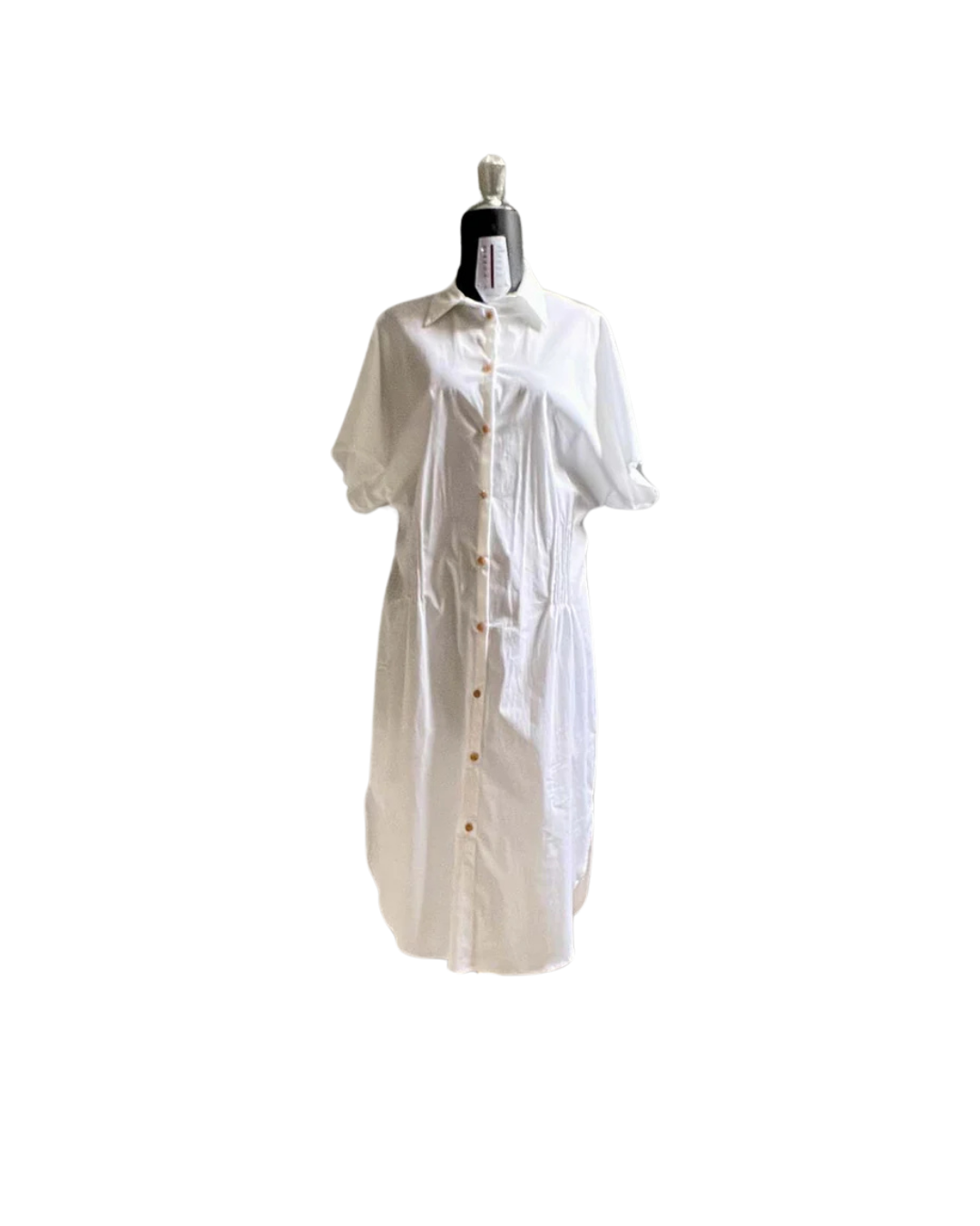 Camiciona Paris_ venature